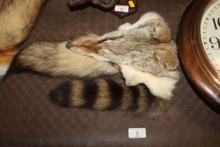 A fox pelt