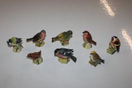Eight Beswick bird ornaments