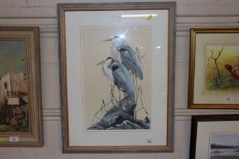 Cherry King, watercolour study of herons