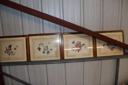 A set of four botanical prints in simulated walnut