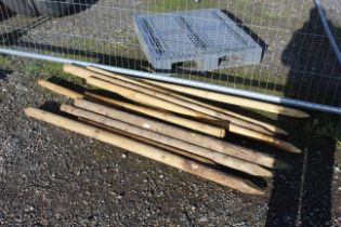 Eleven wooden fencing stakes