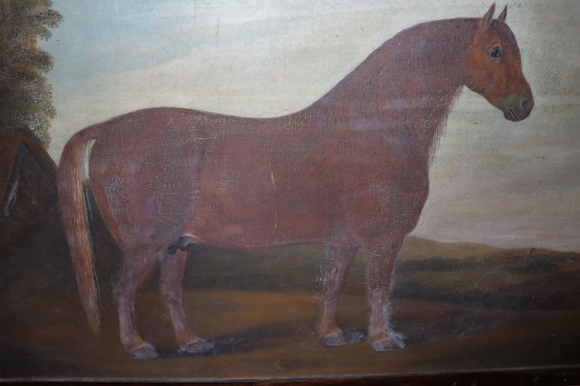 Oil on canvas of a horse, indistinctly signed to b - Image 2 of 2