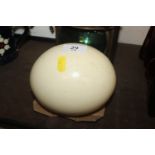 A Kenyan ostrich egg