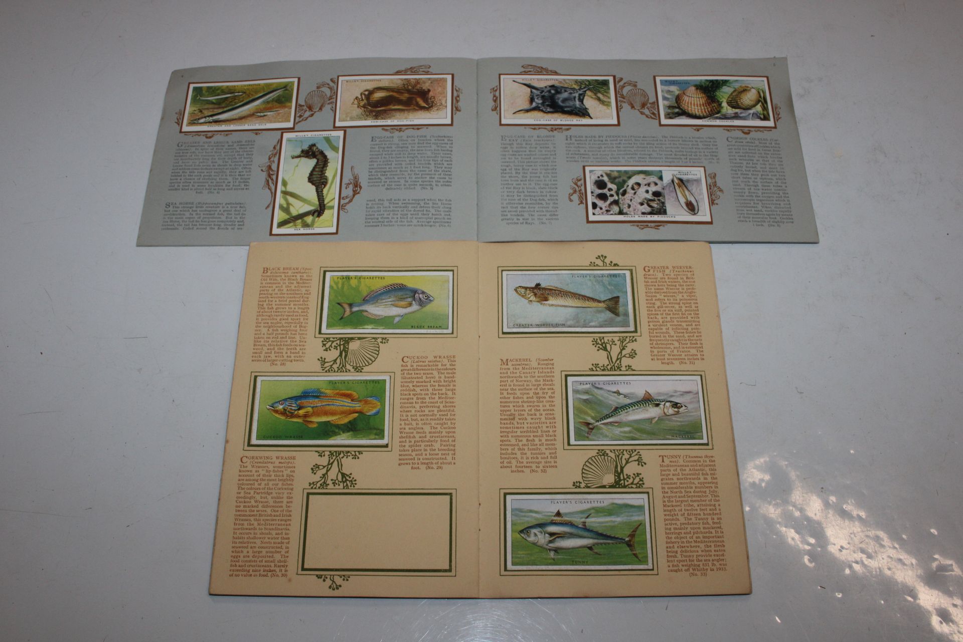 Two albums of cigarette cards; a watermark detecto - Image 6 of 8