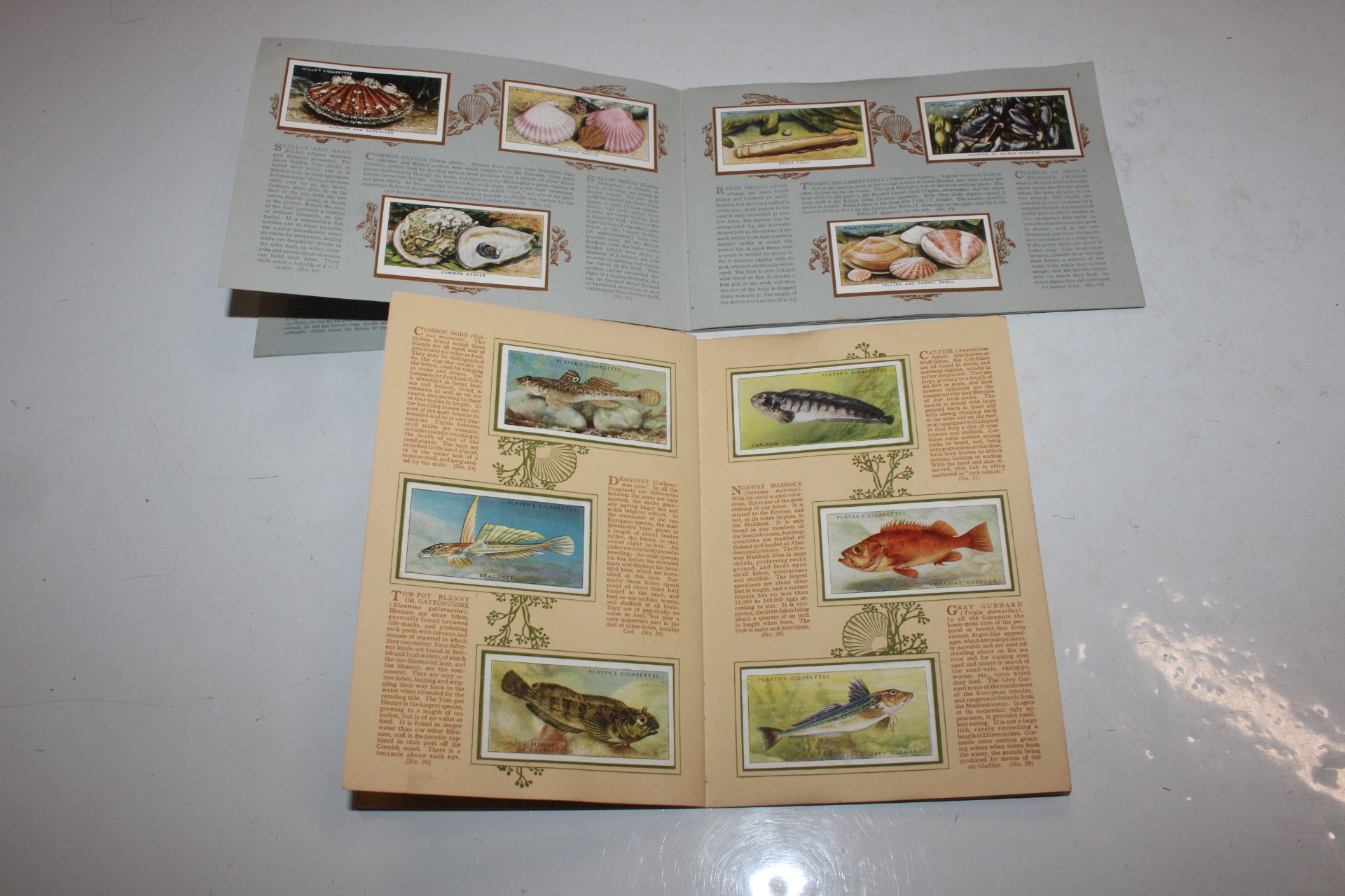 Two albums of cigarette cards; a watermark detecto - Image 7 of 8