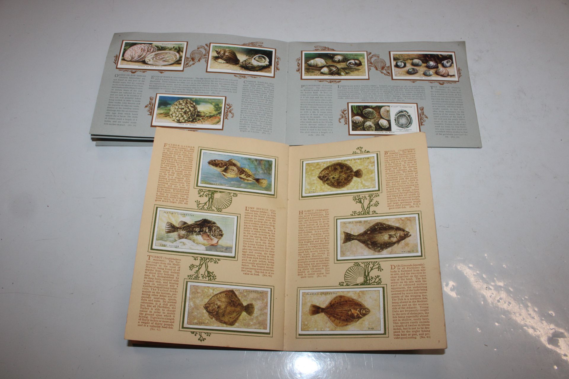 Two albums of cigarette cards; a watermark detecto - Image 8 of 8