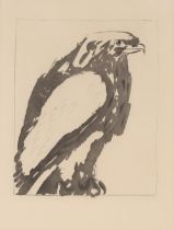 20th Century school study of a seated bird of prey, unsigned 36cm x 27cm
