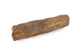 An unusual log of petrified wood, 61cm long