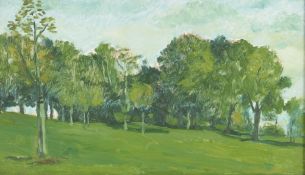 Modern British school, study of parkland, unsigned oil on board in maple frame, 18cm x 31cm