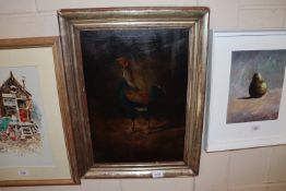 Study of a game cock, unsigned oil on board