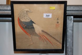 Japanese study of an exotic bird