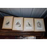 Four hand coloured engravings circa 1812 "Falcon",