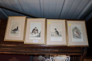 Four hand coloured engravings circa 1812 "Falcon",