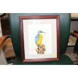 A watercolour study depicting kingfisher, signed t