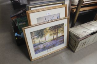 A coloured print of a blue bell wood and three bot