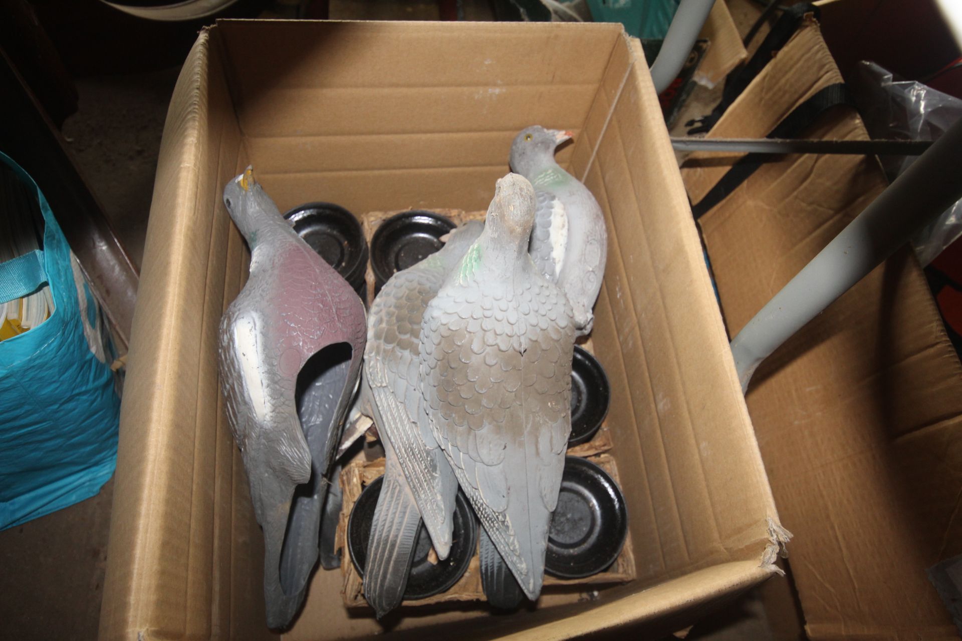 A box containing various decoy pigeons