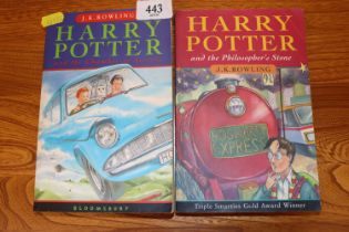 Two Harry Potter books