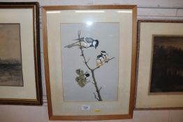 Crank, "Great Tit and Chicks" watercolour of birds