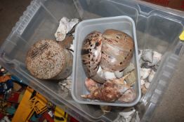 A box of miscellaneous sea shells etc.