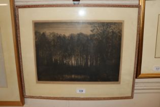 A pencil signed etching depicting woodland at dusk