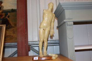 An Oriental celluloid anatomical figure AF