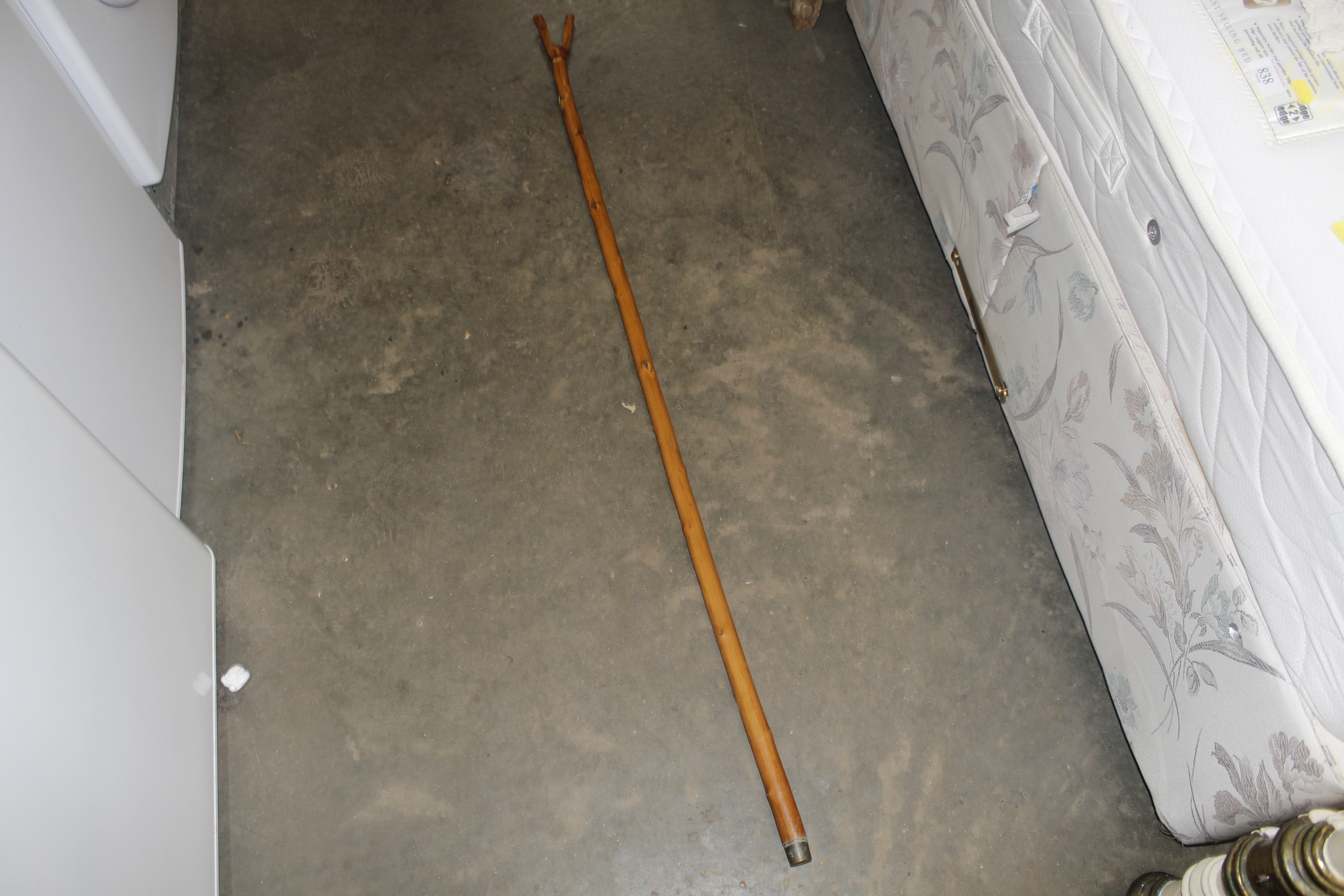 A walking stick