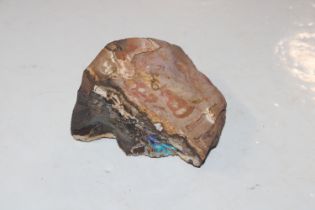 A possible Australian boulder rough opal specimen
