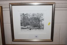 Ann Rea, pencil signed limited edition etching of