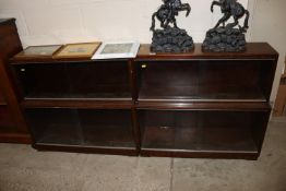 A pair of Minty style bookcases enclosed by glazed