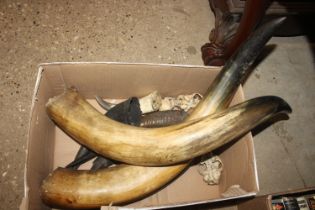 A box of various horns and hunting trophies