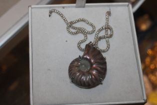 A white metal necklace with ammonite pendant