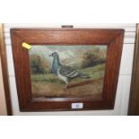 An oil on board "Racing Pigeon, Likely Flyer" unsi