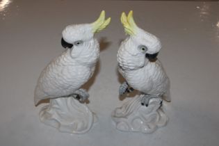 Two Crown Staffordshire models of cockatoos design