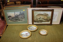 A Victorian coloured print of a hare, botanical studies, gilt framed miniature paintings of cottages
