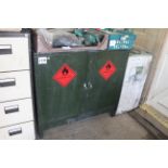 Bunded metal chemical cabinet.