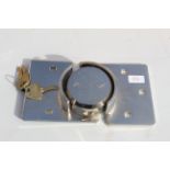 Security hasp and padlock. V