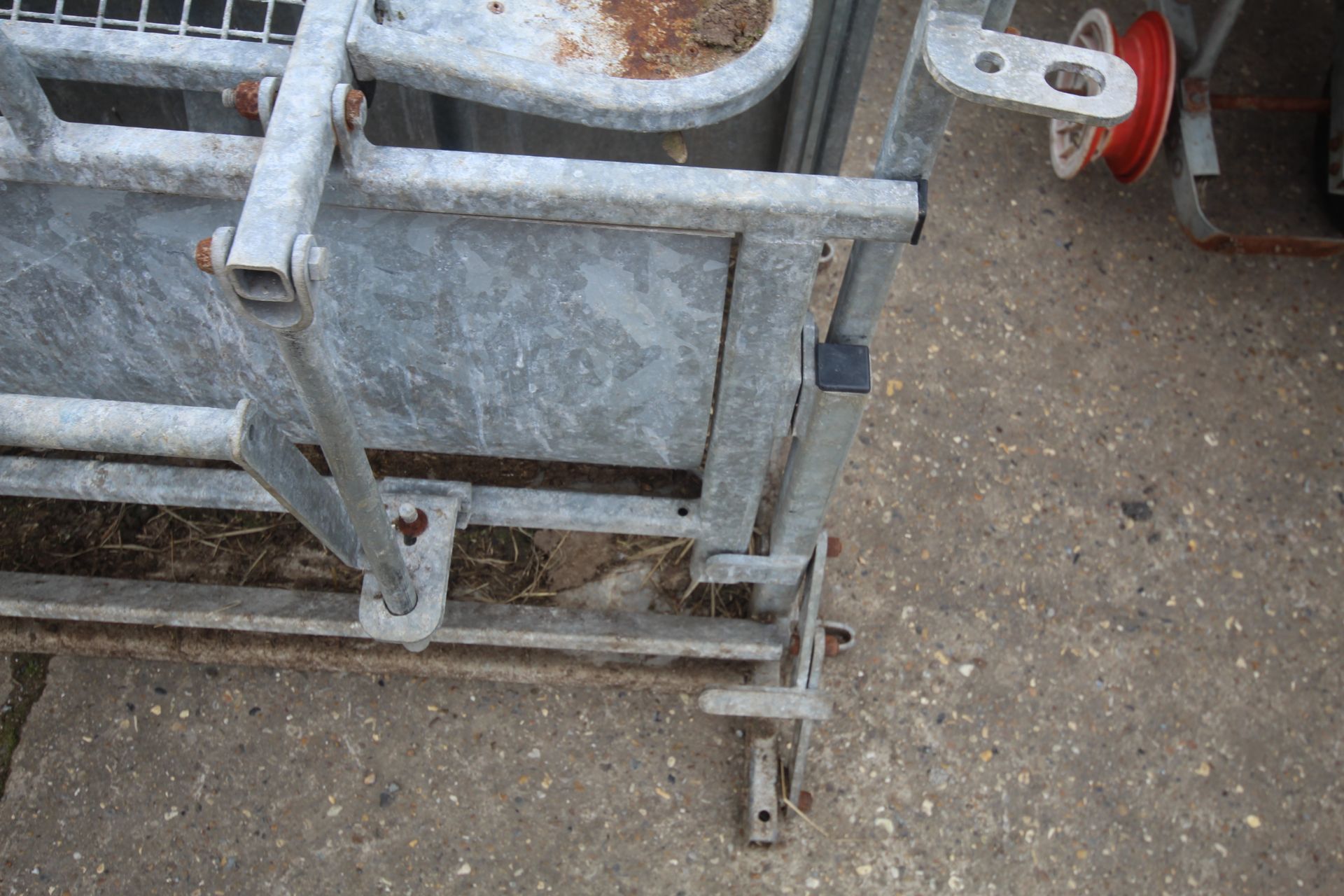 Sheep roll over crate. - Image 8 of 10