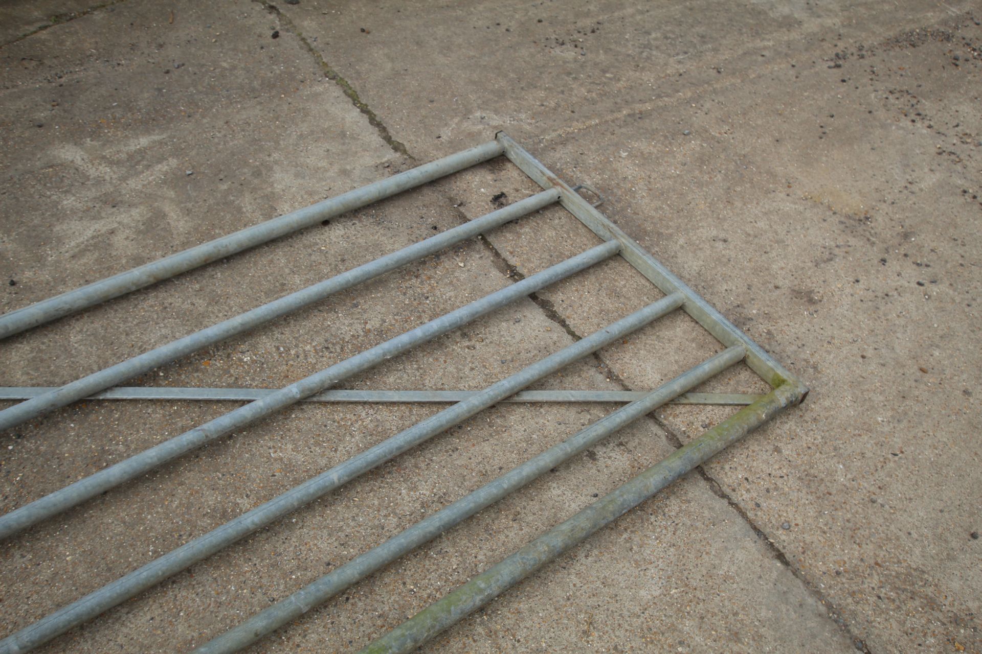 11ft galvanised gate. - Image 4 of 5