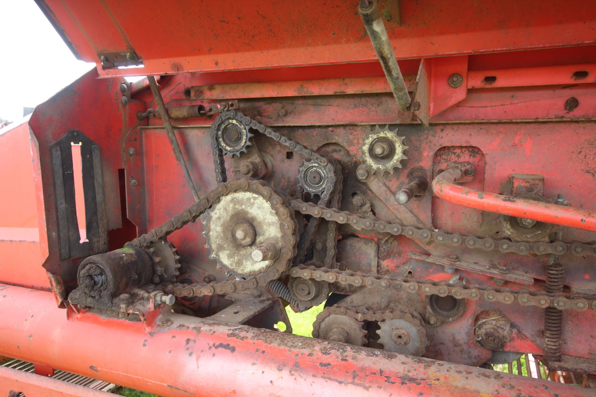 Grimme DL1700 Variant carrot/ onion harvester. With star cleaners. Control Box held. V - Bild 45 aus 61