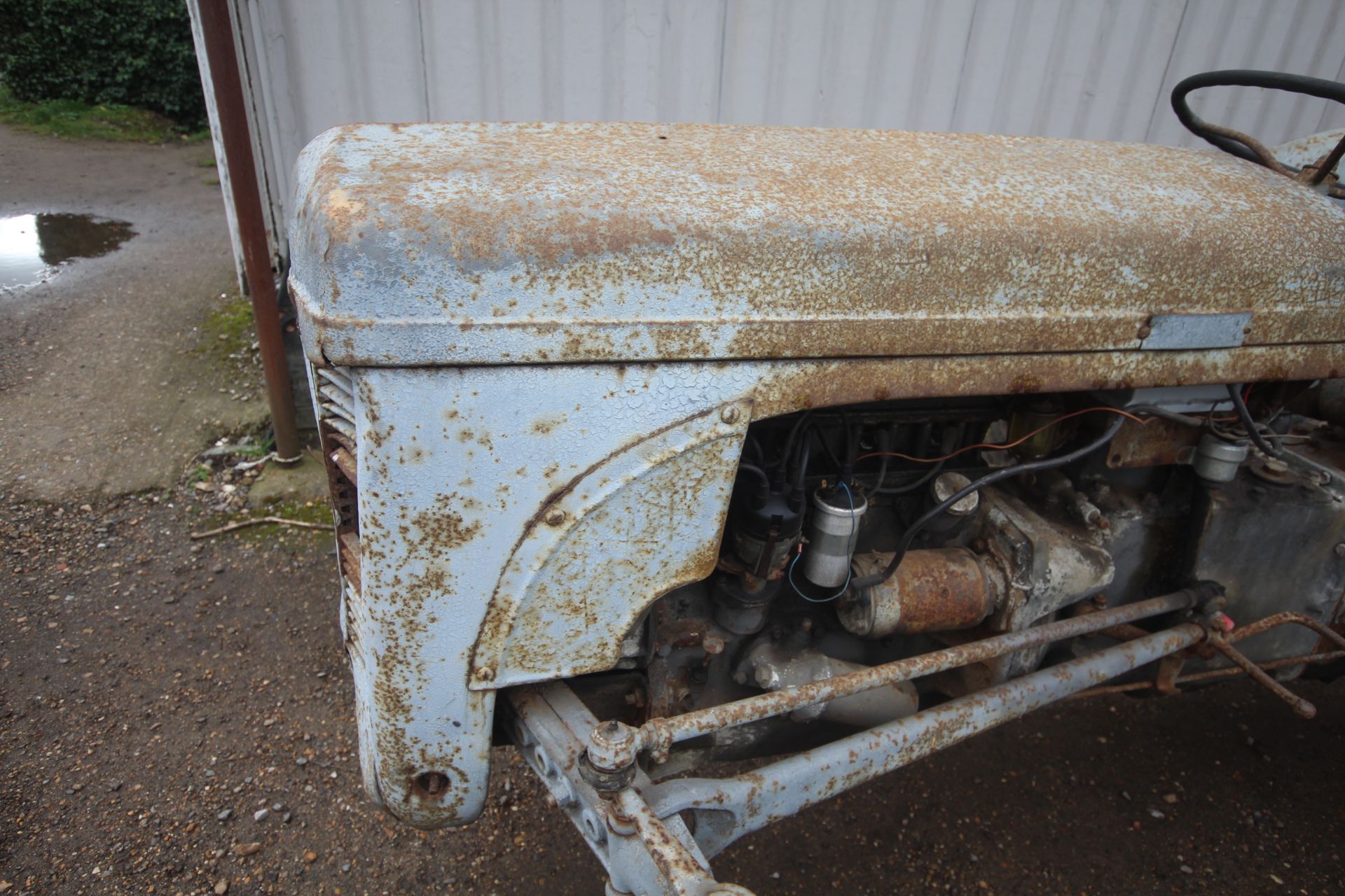 Ferguson TED 20 Petrol/ TVO 2WD tractor. 1953. Serial number 201176. Key held. V - Bild 8 aus 45