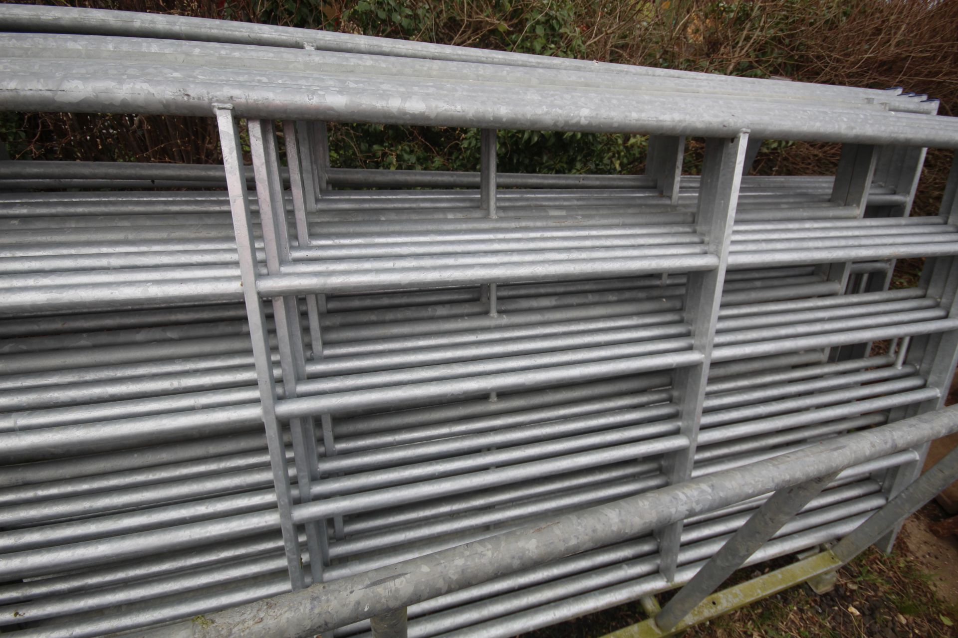 IAE race hurdles. 8x 10ft & 2x 8ft. With pins and pallet tine stillage. - Bild 5 aus 8