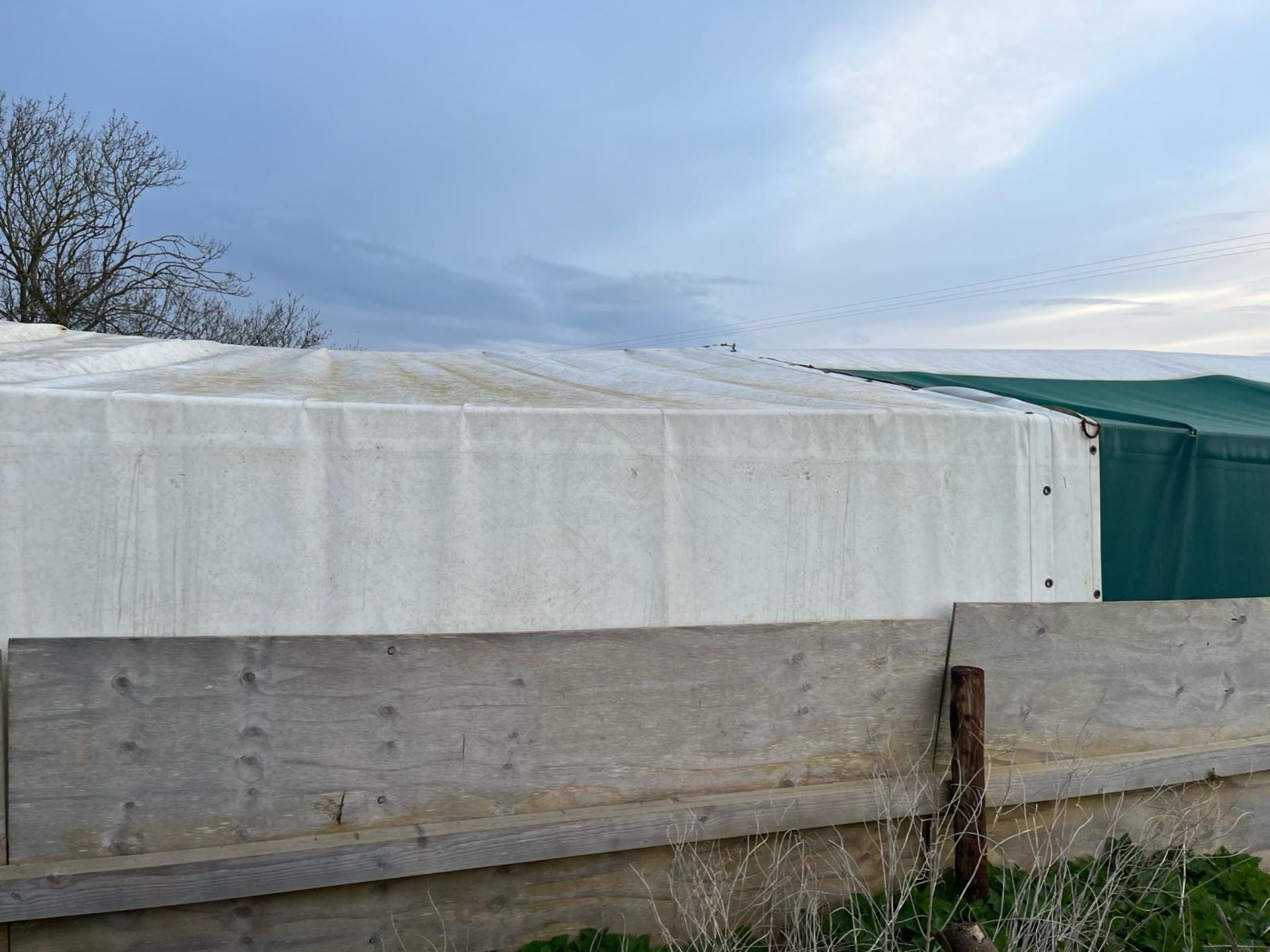 3x pig tents. Currently used together. Marine ply - Image 18 of 23