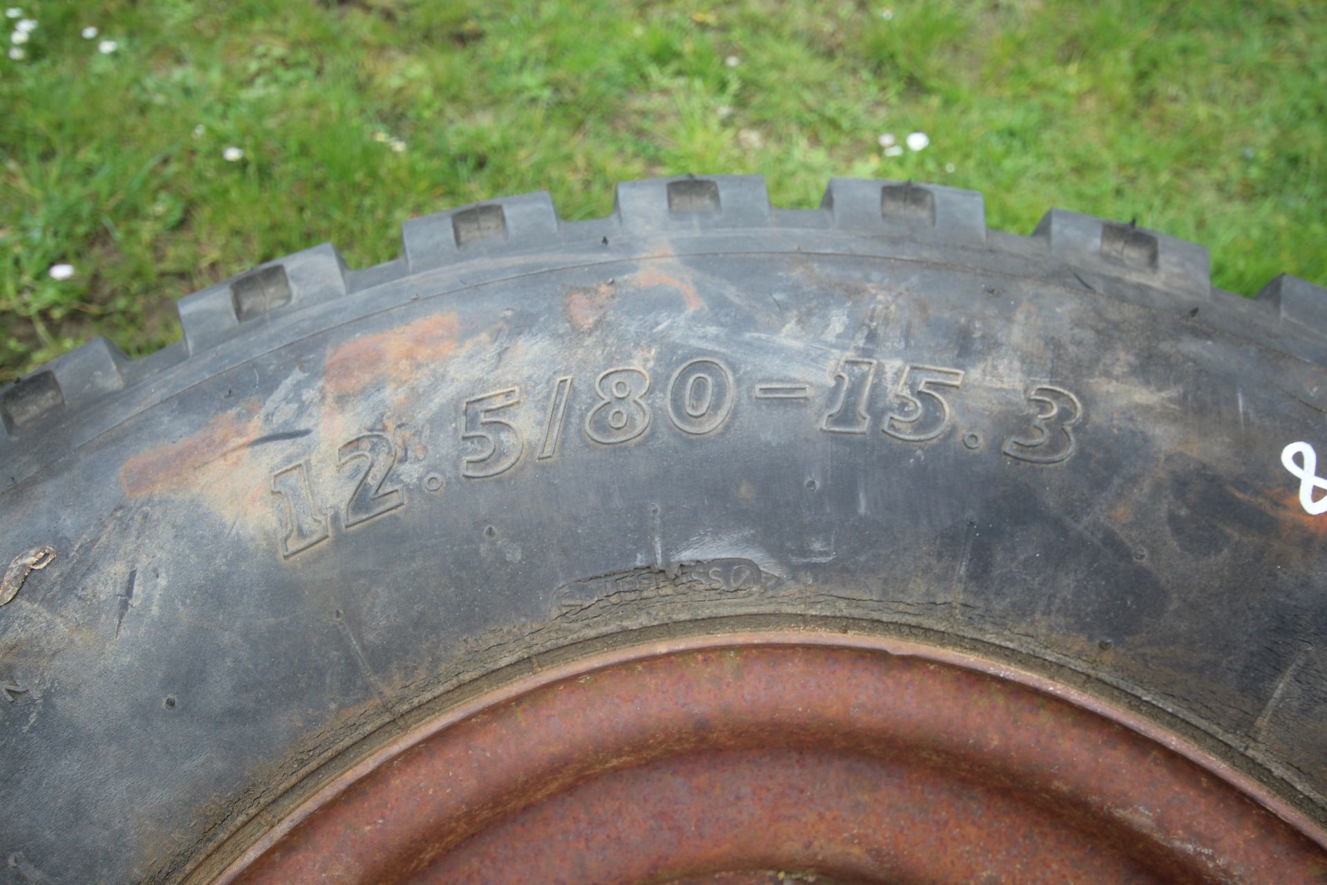 12.5/80-15.3 trailer wheel and tyre and barrow whe - Image 5 of 5