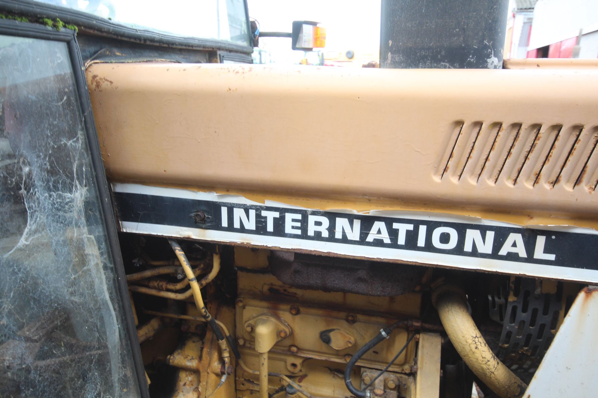 International 248 2WD tractor. Registration SPV 499W. Date of first registration 01/06/1981. Showing - Image 48 of 73