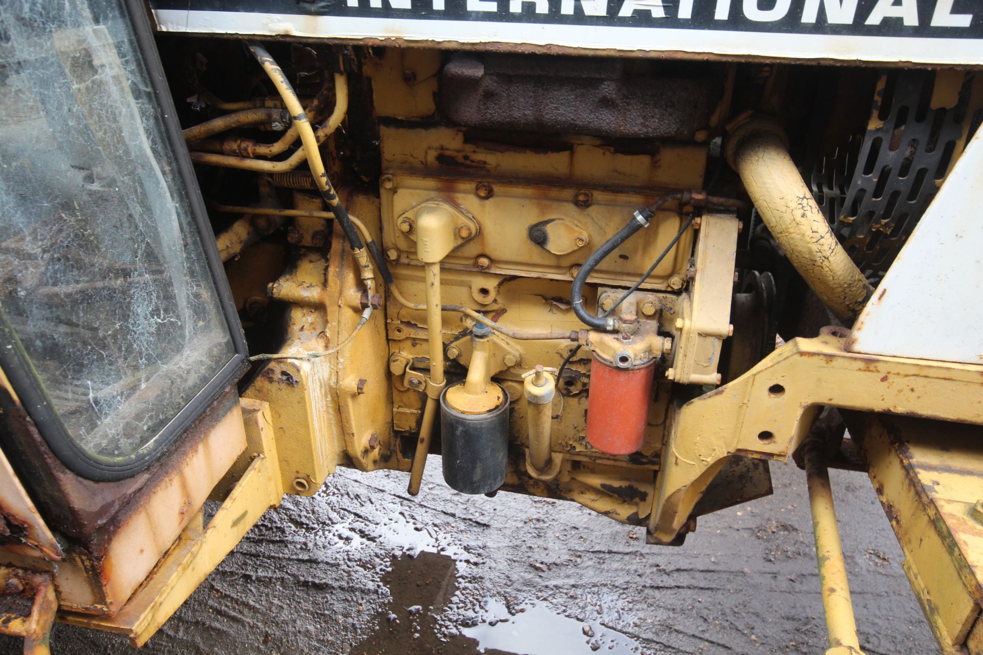 International 248 2WD tractor. Registration SPV 499W. Date of first registration 01/06/1981. Showing - Image 49 of 73