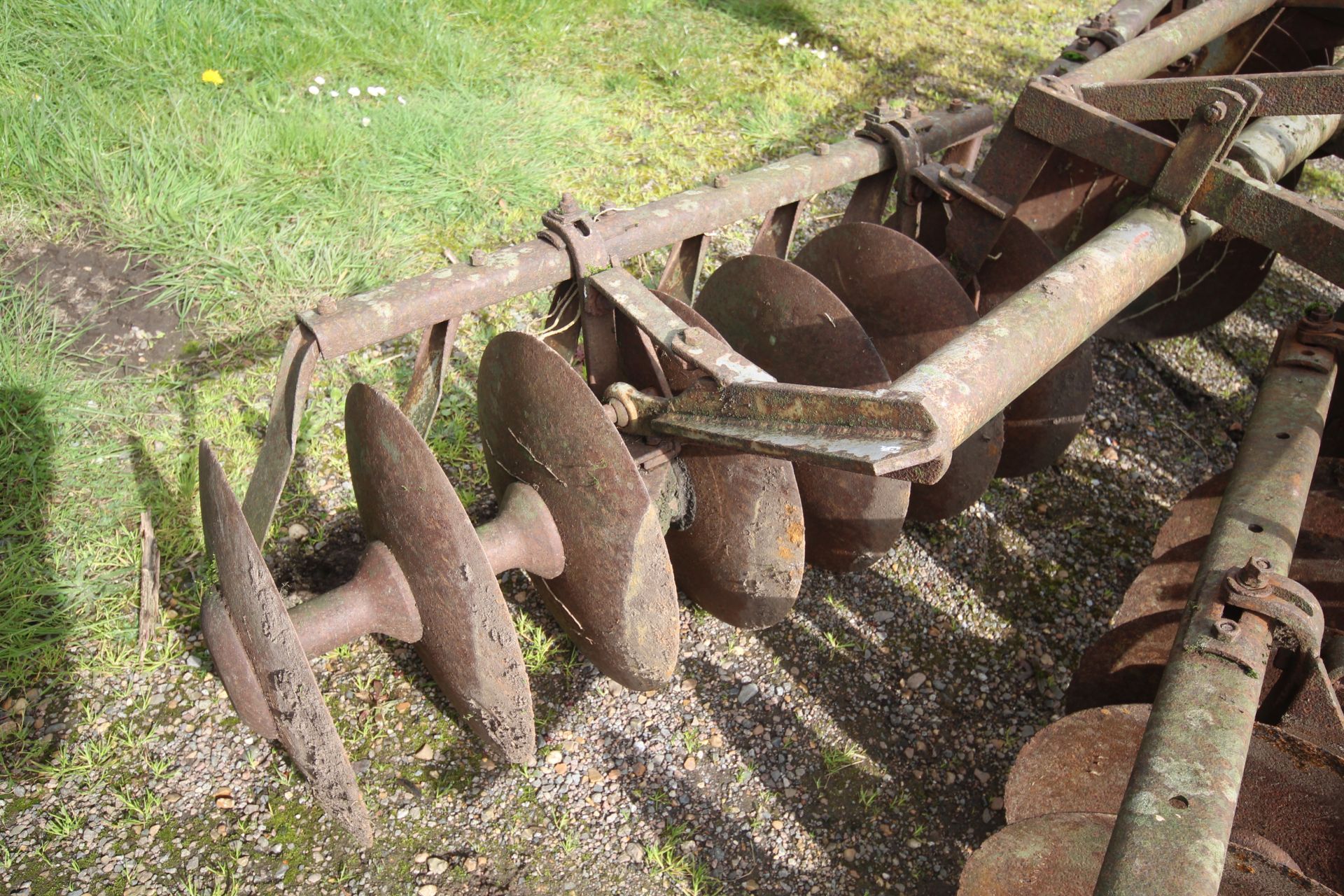 Massey Ferguson mounted discs. From a Local Deceased estate. V - Image 12 of 13