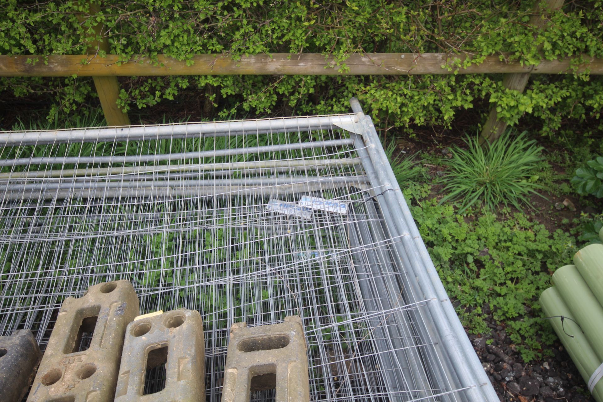 Quantity of Heras fence panels, clips and feet. - Image 7 of 8