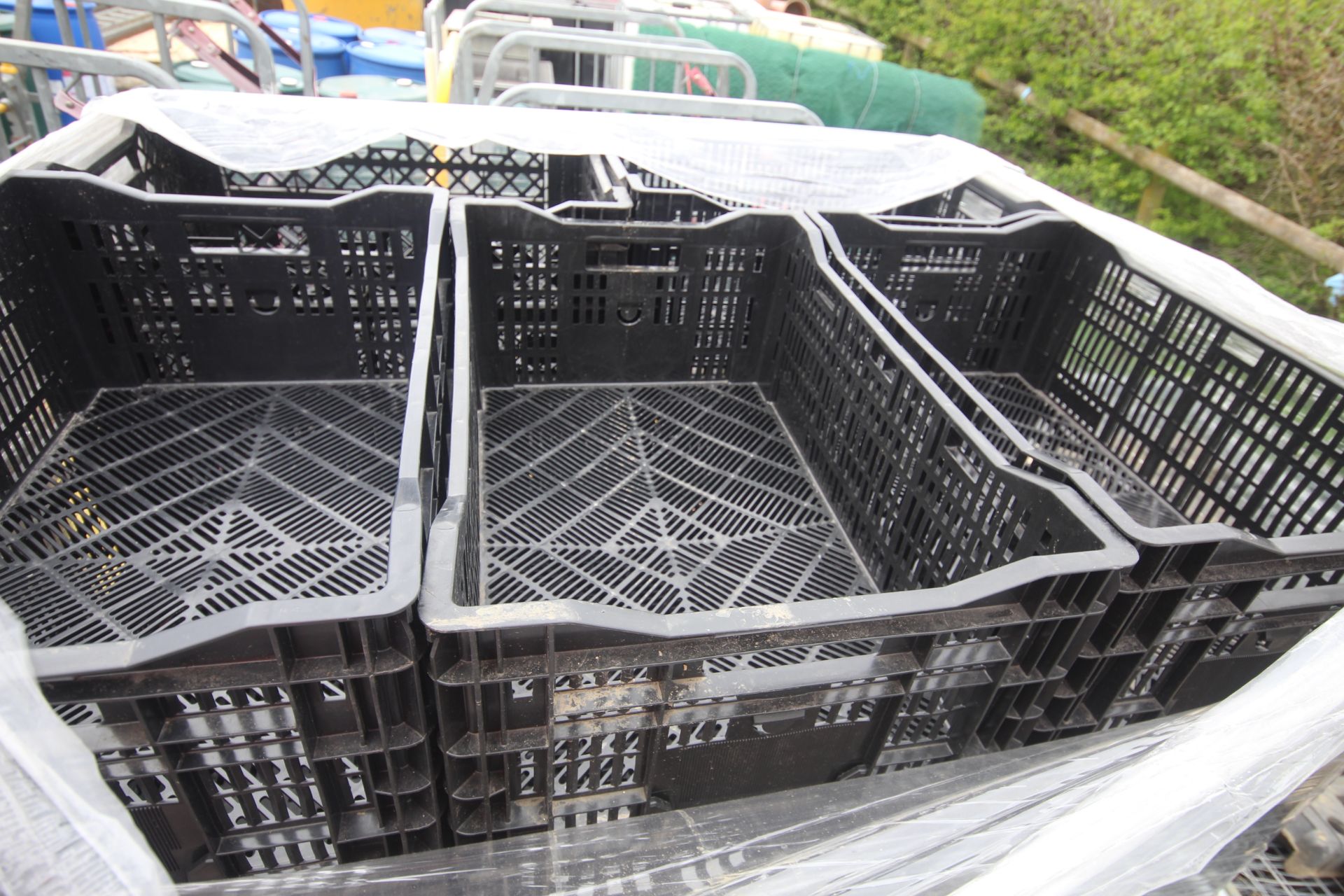 30x plastic produce crates. - Image 2 of 2