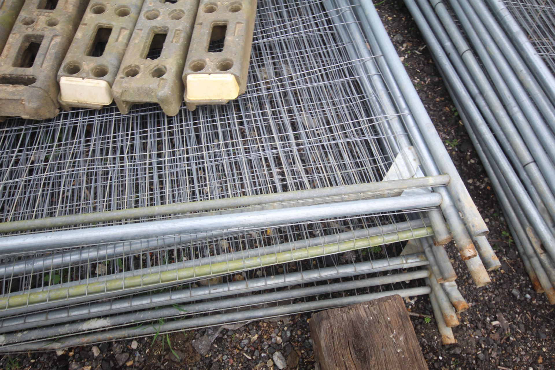 Quantity of Heras fence panels, clips and feet. - Image 6 of 8