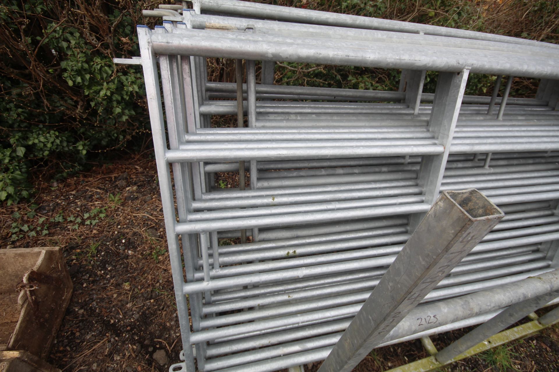 IAE race hurdles. 8x 10ft & 2x 8ft. With pins and pallet tine stillage. - Image 4 of 8